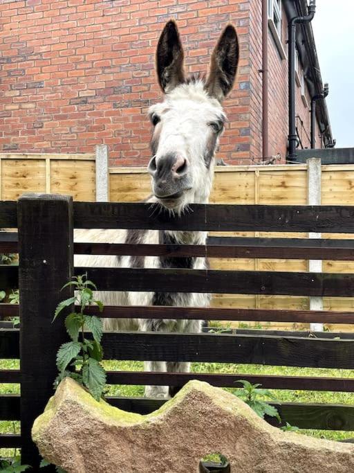 4 Bedroom - Sleep 9 Home In Cheadle Staffordshire - Alton Towers Polar Express Dimmingsdale Peak District Trentham Gardens Water World Bagian luar foto