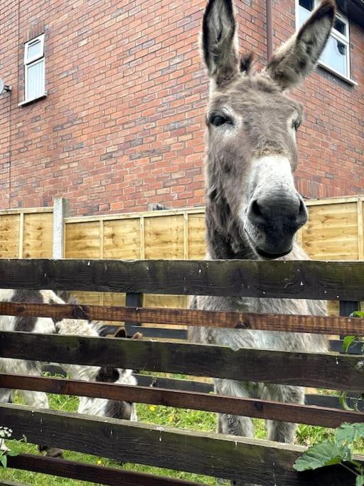 4 Bedroom - Sleep 9 Home In Cheadle Staffordshire - Alton Towers Polar Express Dimmingsdale Peak District Trentham Gardens Water World Bagian luar foto